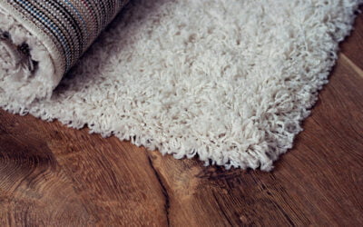 What Winnipeg Homeowners With Allergies Should Know Before Choosing Carpet?