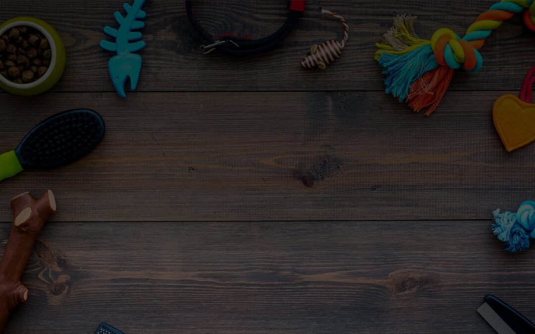 Animals and Hardwood