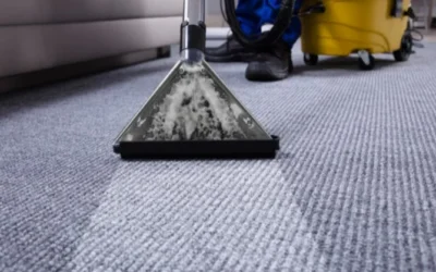 Floor Cleaning and Upkeep