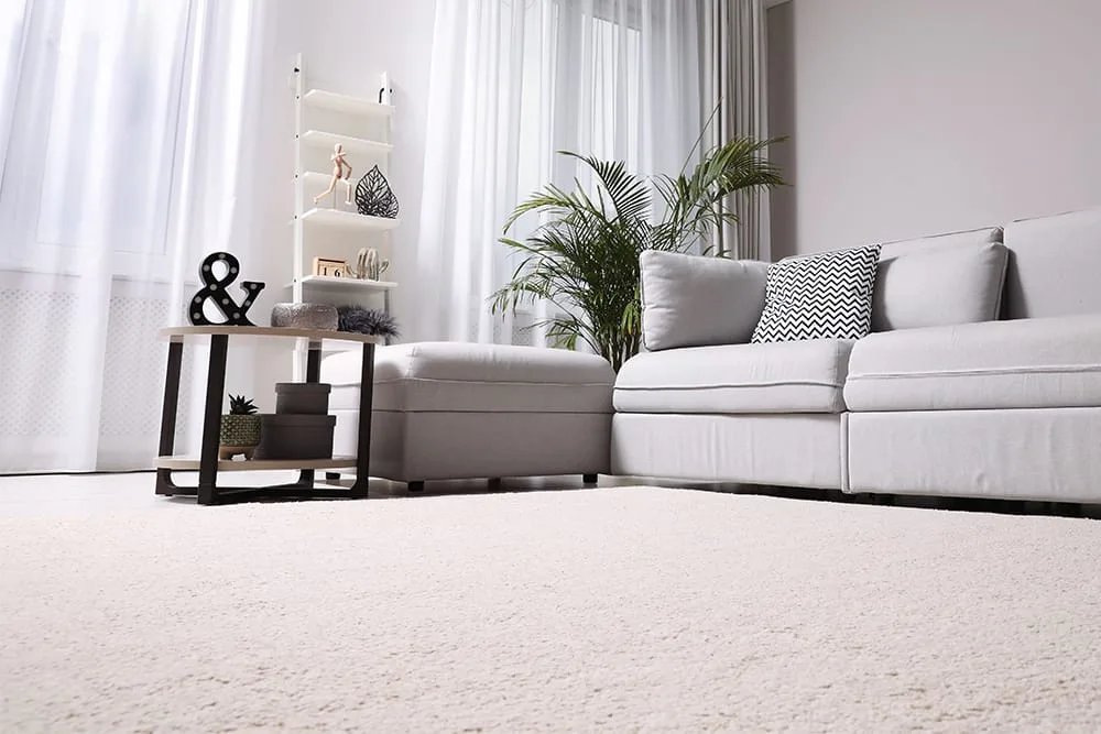 carpet winnipeg carpet winnipeg