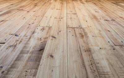 Winter Flooring Care Tips: Protect Your Floors from Winnipeg’s Harsh Weather