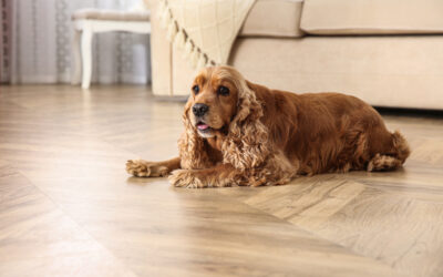 Which Flooring Fibers Best Resist Pet Stains, Odors, and Claw Damage?